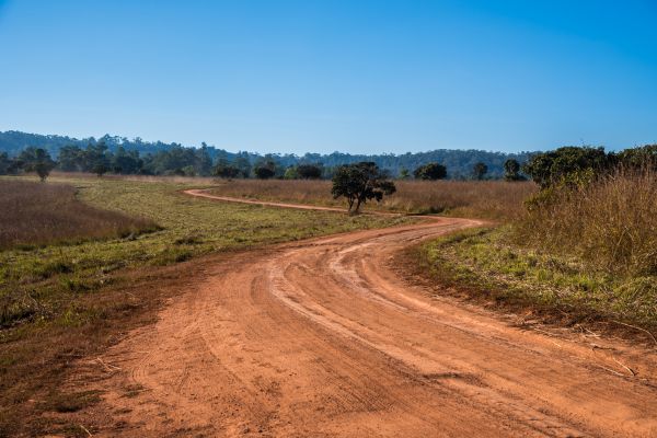 Cost of Dirt Driveway Repair in Knoxville