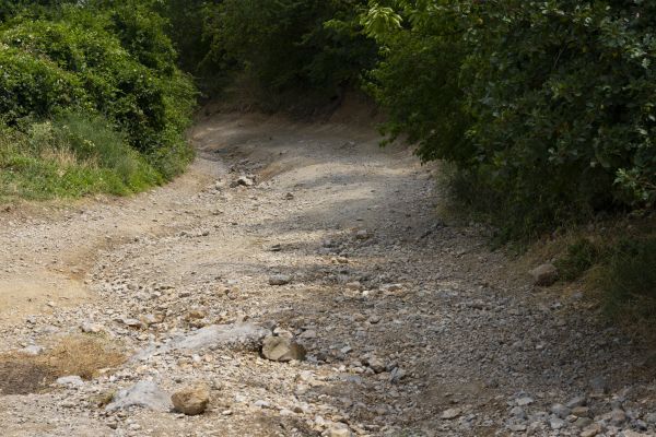 Cost of Gravel Road Pothole Repair in Knoxville