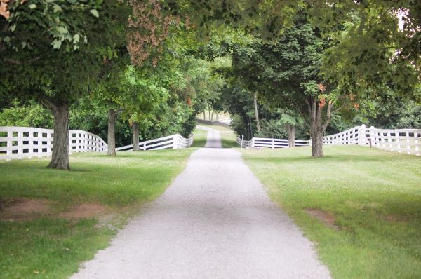 Cost of Gravel Road Installation in Knoxville