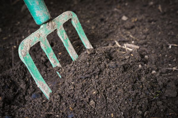Cost of Topsoil Spreading in Knoxville
