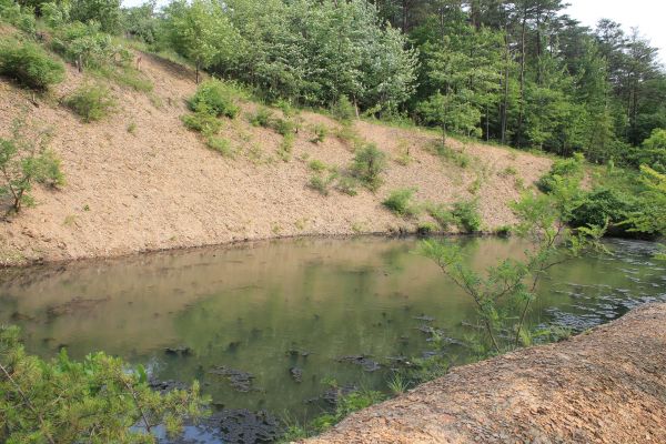 Cost of Pond Erosion Repair in Knoxville
